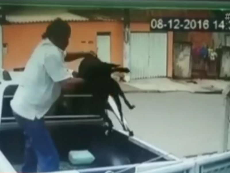 Sistema de segurança de ONG flagra homem jogando cachorro pelo portão