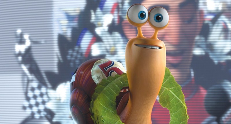 Turbo: o caracol de jardim Turbo: o caracol de jardim