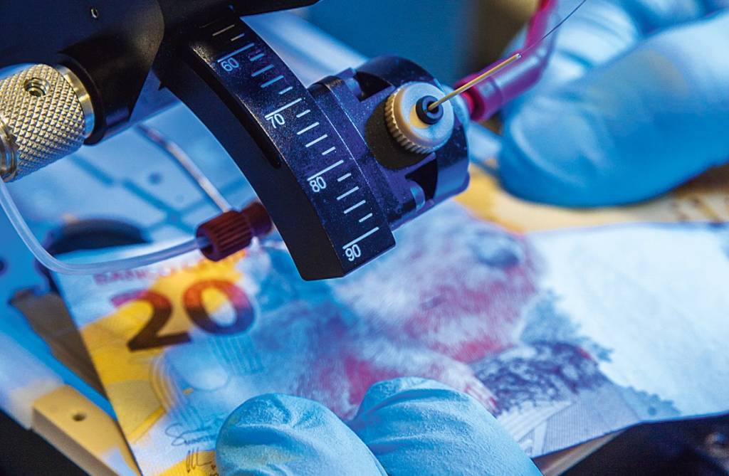 Análises mostram bactérias e drogas em dinheiro que circula na capital