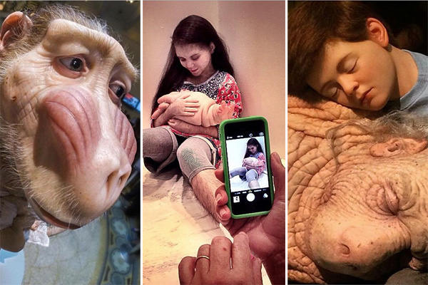 Vote nos finalistas da missão: “A mostra ComCiência, no CCBB”