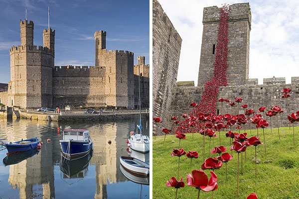 Por que este castelo no País de Gales foi enfeitado com mais de 6 000 flores vermelhas? 