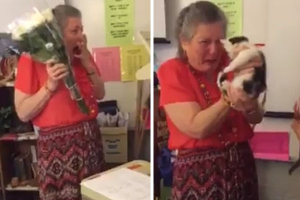 Alunos surpreendem professora de matemática com filhotes após ela perder gato