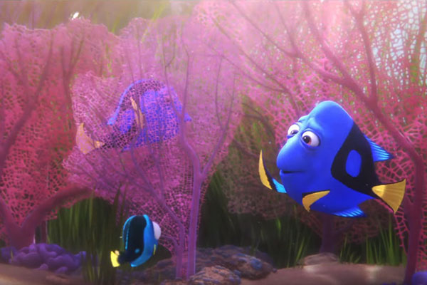 Versão filhote de personagem de “Procurando Dory” conquista a internet