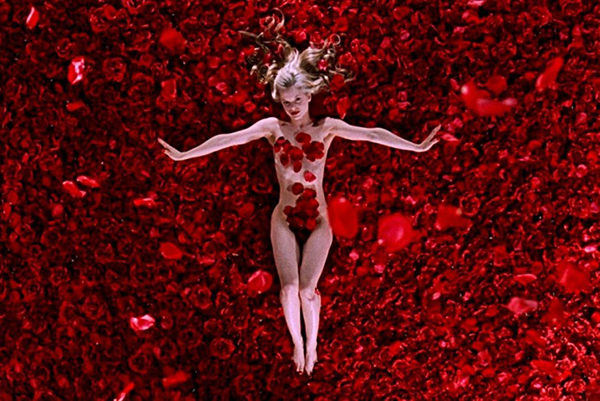 Fotógrafa se inspira em cena de ‘Beleza Americana’ para homenagear mulheres reais