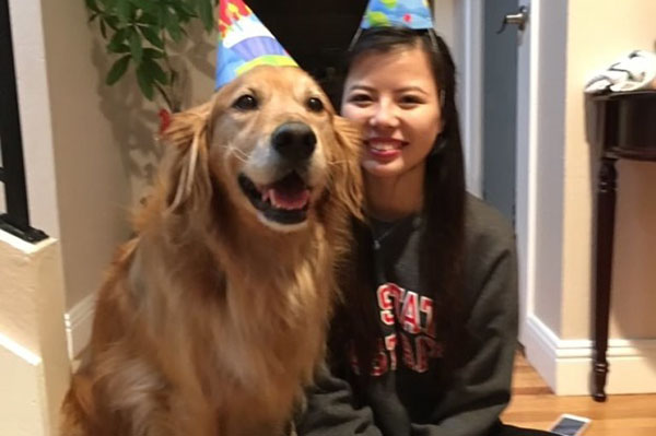 Registro de golden retriever assistindo a vídeos de outros cachorros faz sucesso na internet