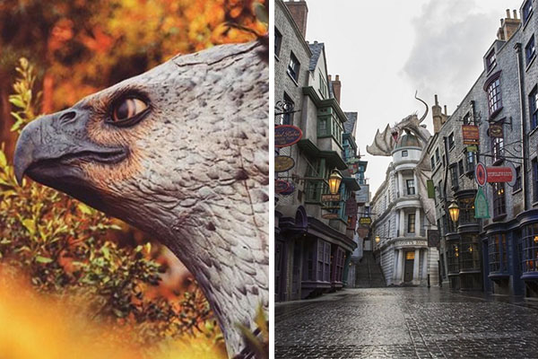 Universal Orlando Resort promove caça ao tesouro inspirada em “Animais Fantásticos e Onde Habitam”