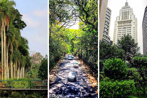 Vote nos finalistas da missão: “Existe Verde na Metrópole”