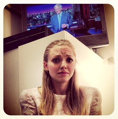 Finn, o cachorro fofo da atriz Amanda Seyfried, virou astro na internet; veja os melhores cliques