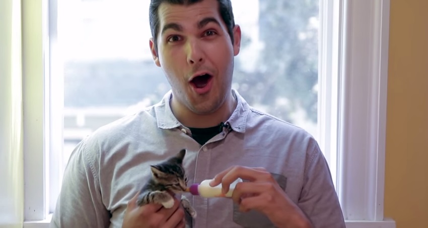 Vídeo mostra homens “machões” conhecendo uma ninhada de filhotes de gato e o resultado é adorável; assista