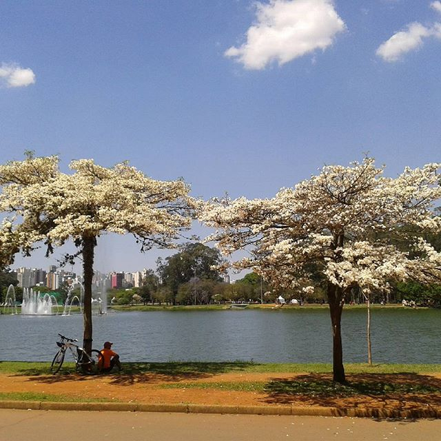 Vencedores da missão: “As cores da primavera nos parques da cidade”