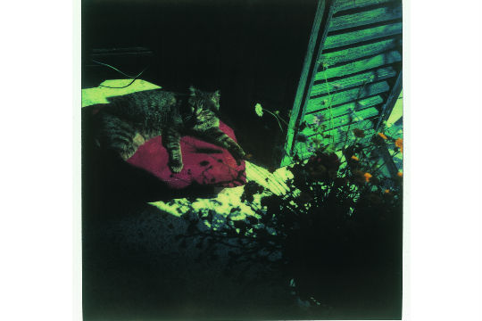 Polaroide do cineasta russo Andrei Tarkóvski mostra a vida tranquila no interior da Itália Polaroide do cineasta russo Andrei Tarkóvski mostra a vida tranquila no interior da Itália