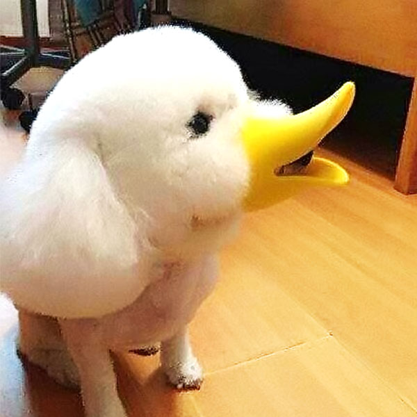 AliExpress: “apontador” de legumes e mais itens curiosos