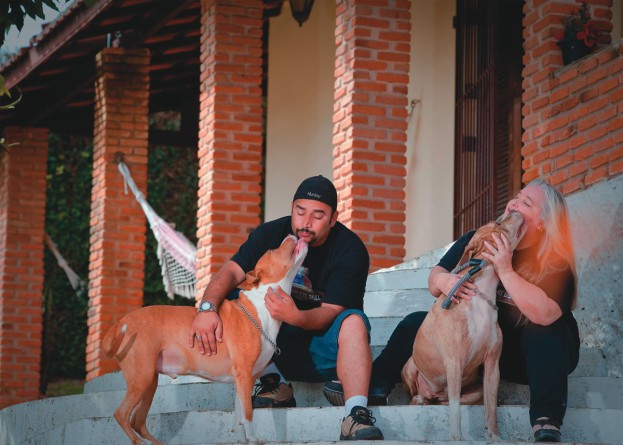 Dois cachorros são encontrados abandonados em conhecido santuário de pit bulls. Um deles morreu de desnutrição e desidratação um dia após o resgate