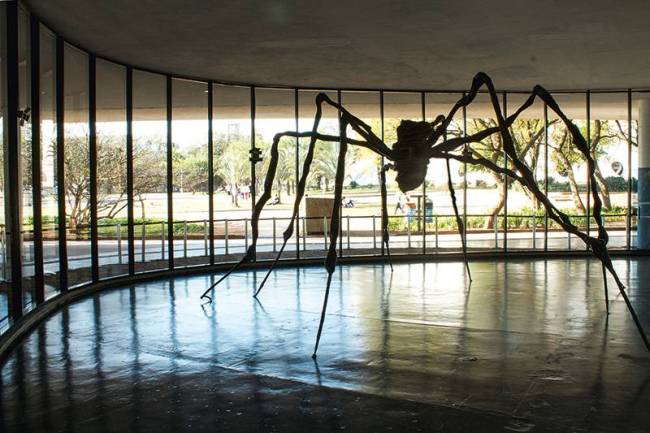 aranha ibirapuera 2387