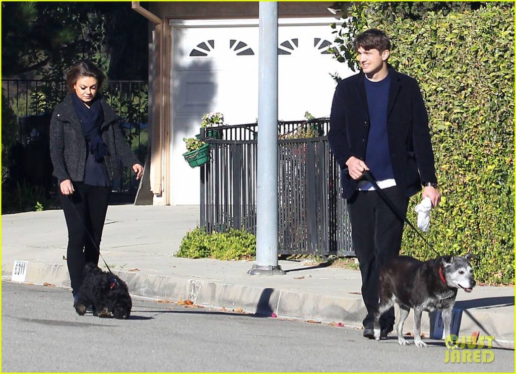 Do cinema para a vida real: Ashton Kutcher e Mila Kunis passeiam com os cachorros