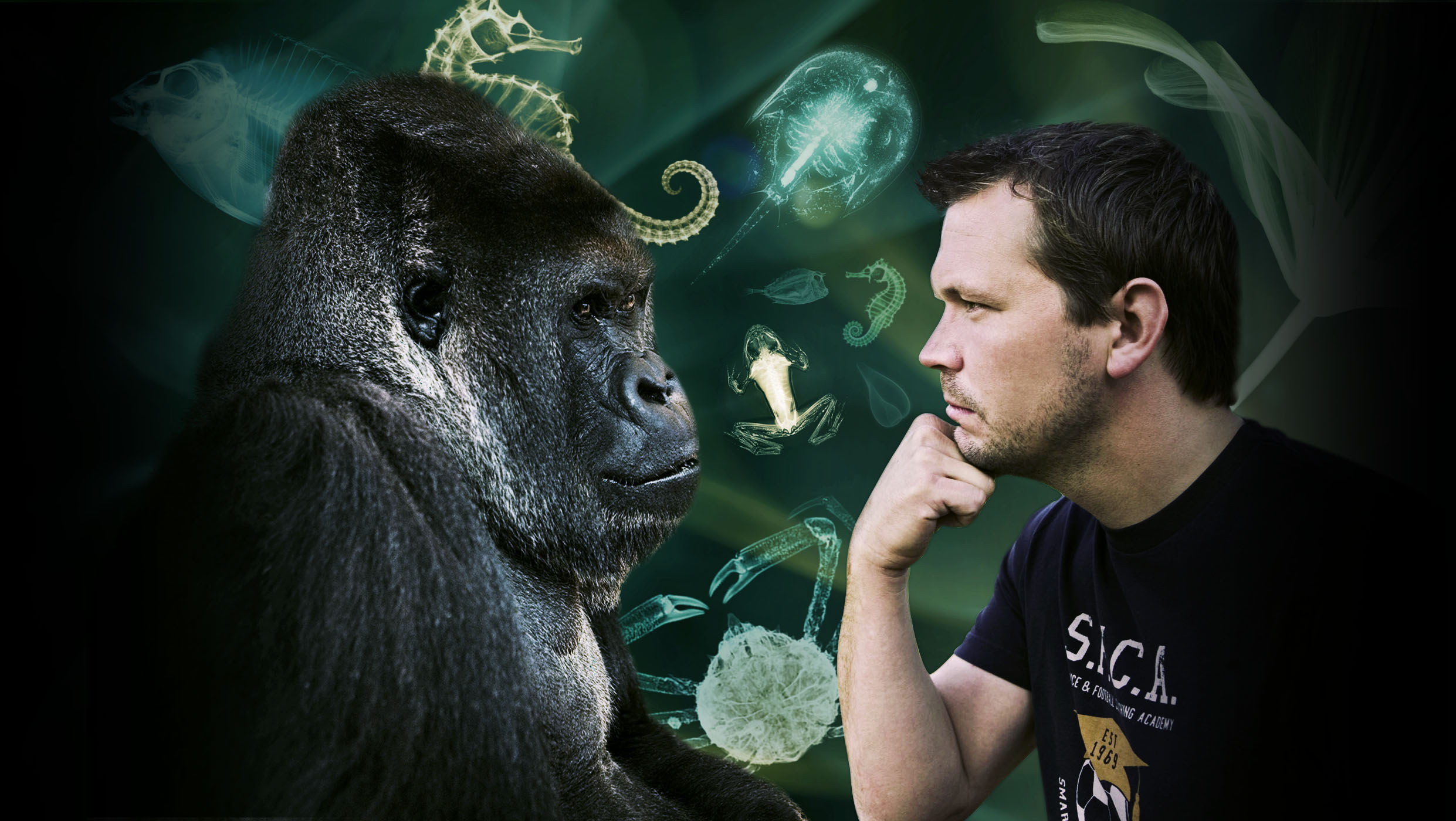 Filmes sobre Darwin no Museu de Zoologia