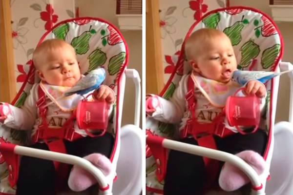 Bebê tentar “comer” um pássaro vivo durante brincadeira e o resultado é assustador e engraçado ao mesmo tempo