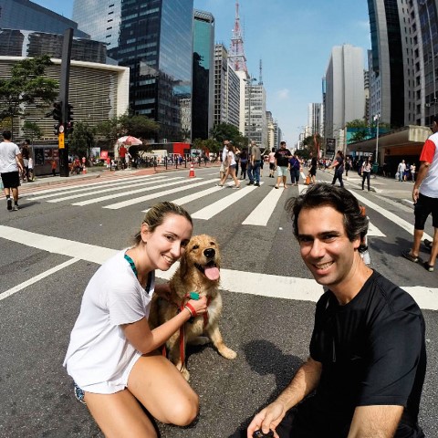 Meu pet: conheça Bella, a golden retriever que ama a Paulista aberta