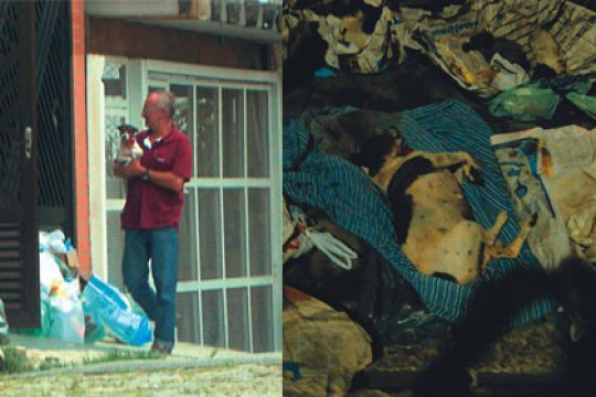 Dalva Lina da Silva, acusada de matar 37 gatos e cachorros, é multada em 19 500 reais