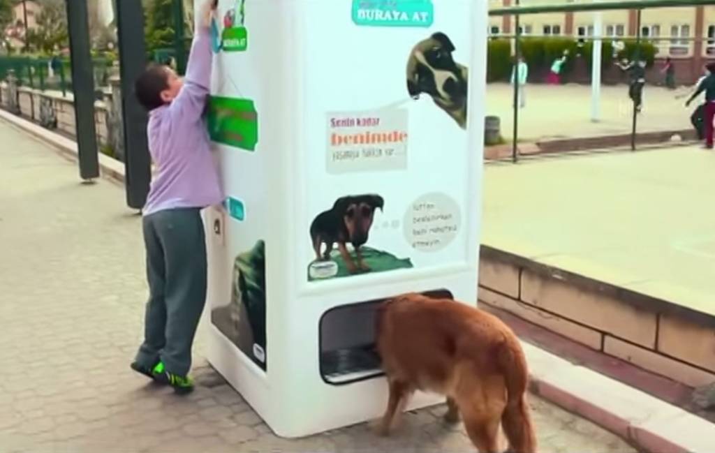 Empresa turca lança máquina que dá ração a cães de rua em troca de garrafas plásticas para reciclagem