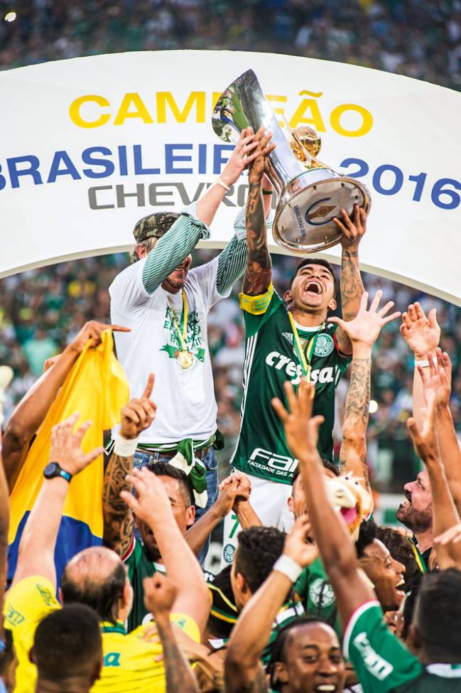 palmeiras palmeiras
