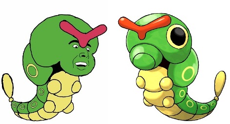 caterpie1