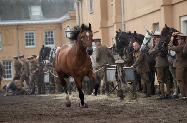 Cavalo de Guerra, de Steven Spielberg: foram usados 14 cavalos para interpretar Joey Cavalo de Guerra, de Steven Spielberg: foram usados 14 cavalos para interpretar Joey