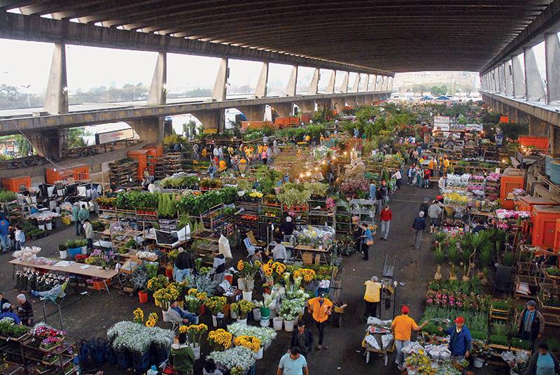 Cinco notícias que você precisa ler para começar a quarta (1)