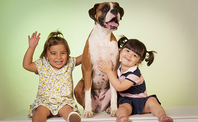 Uma sessão de fotos grátis com seu pet