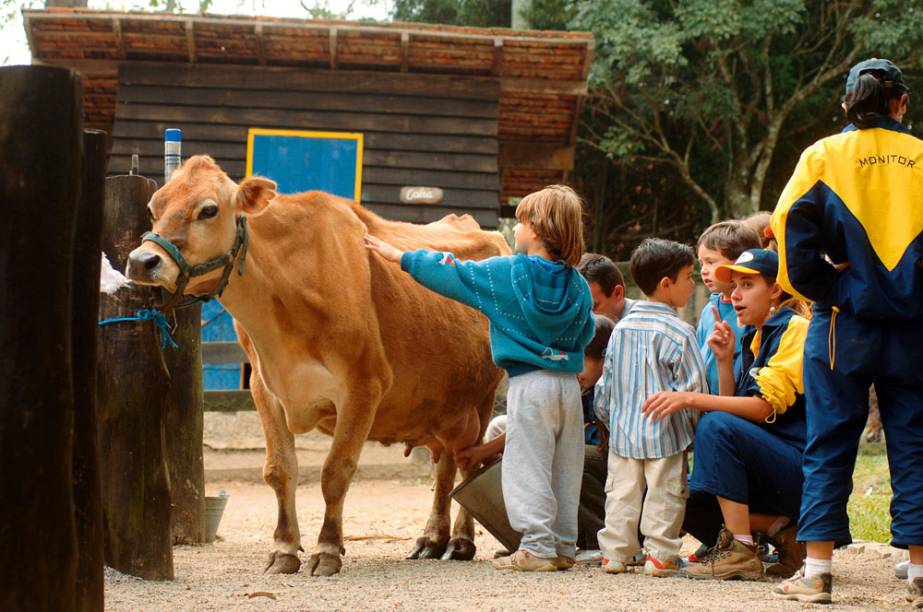 Pet Zoo: perto dos animais Pet Zoo: perto dos animais