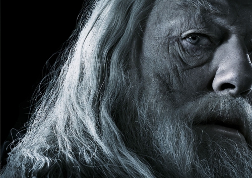 Alvo Percival Wulfrico Brian Dumbledore - Michael Gambon/Richard Harris