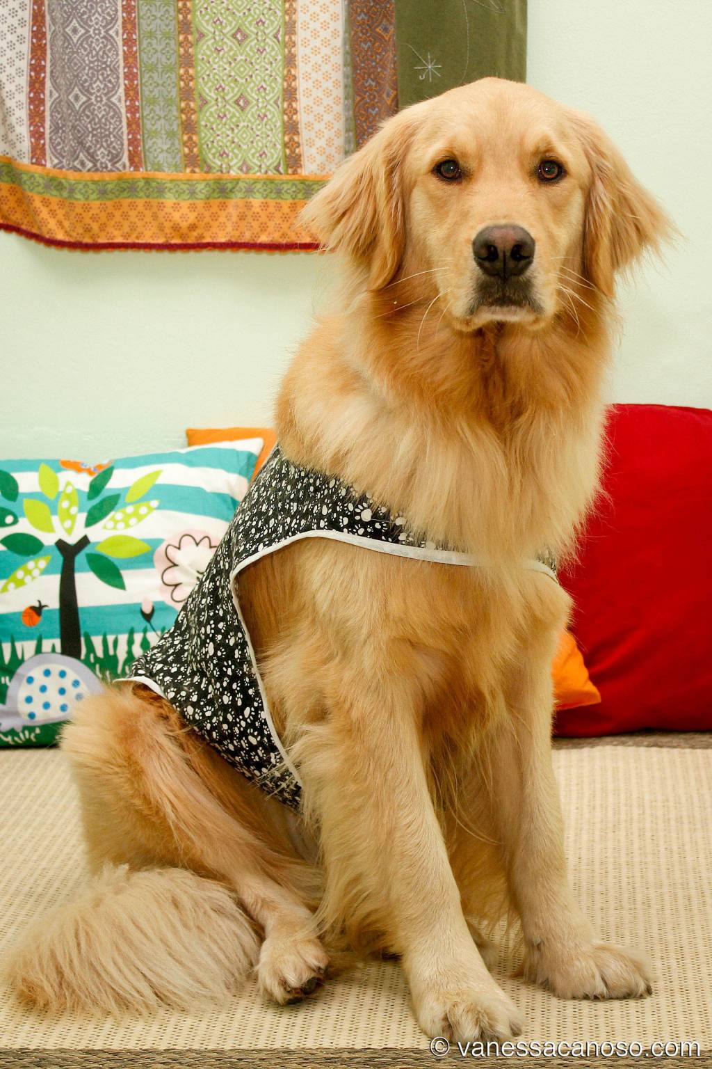 Roda de leitura para crianças na Livraria da Vila terá companhia de cãezinhos