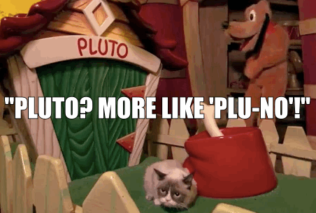 grumpycatgif-1