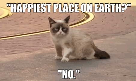 grumpycatgif-2