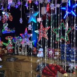 Larissa Bolsas: foco nos apetrechos luminosos