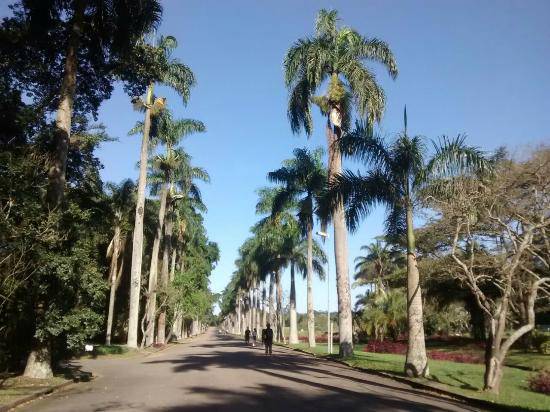 jardim-botanico-de-sao