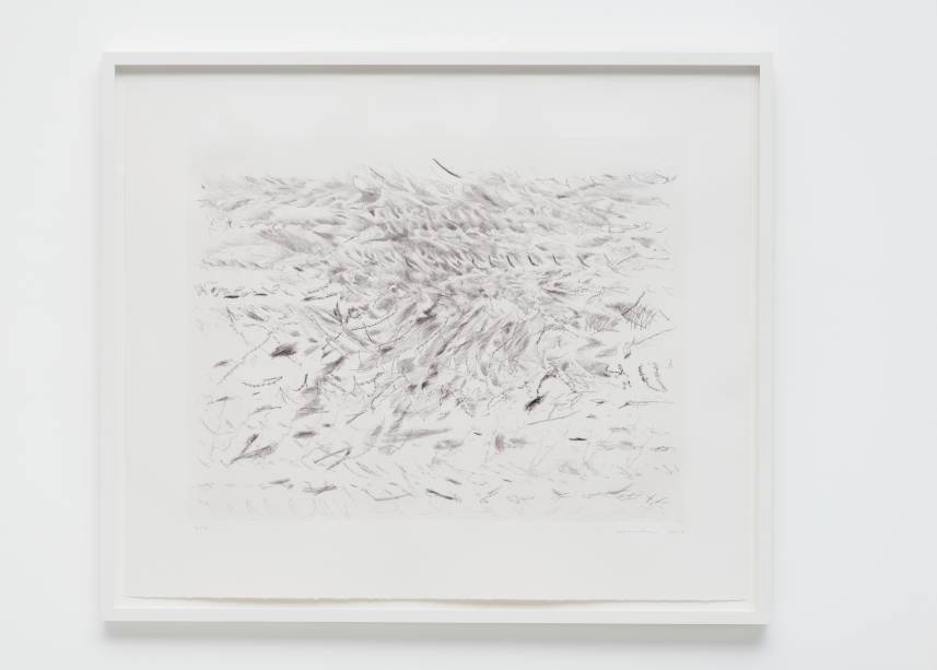 	Untitled 2013, de Julie Mehretu