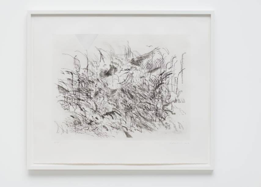 	Untitled 2013, de Julie Mehretu