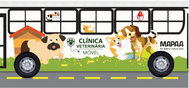 ONG quer instalar clínica veterinária itinerante em ônibus para castrar animais abandonados