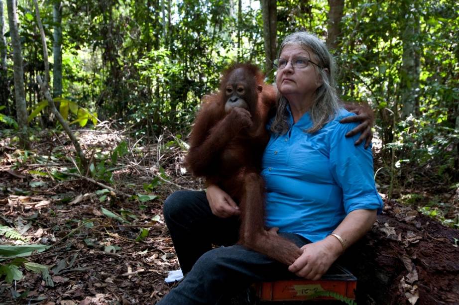 Documentário Born to Be Wild: fita leva a plateia até Bornéu e Quênia