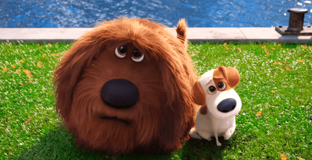 Série de eventos agita lançamento de ‘Pets’ em DVD e Blu-ray