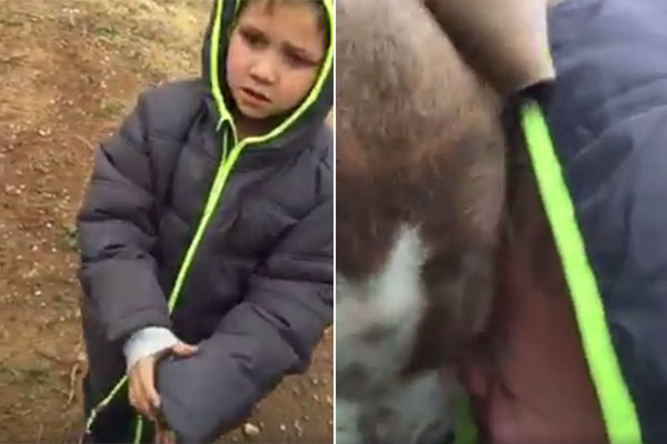 Menino se emociona ao reencontrar cachorro e comove o Facebook