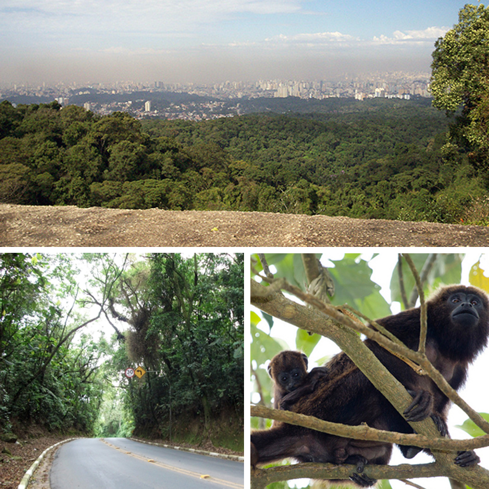 Missão da semana: “As belezas naturais da Serra da Cantareira”