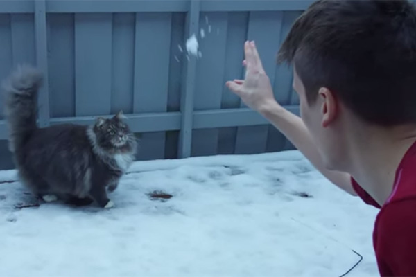 Gatinha que ama neve faz sucesso em vídeo na internet