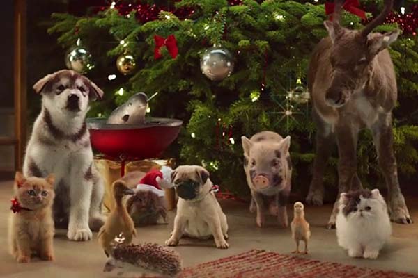 Comercial de Natal usa filhotes de vários animaizinhos e o resultado é simplesmente adorável