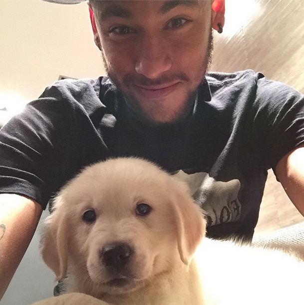 Conheça Poker, o novo companheiro de Neymar