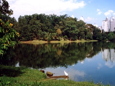 Parque Aclimação Parque Aclimação