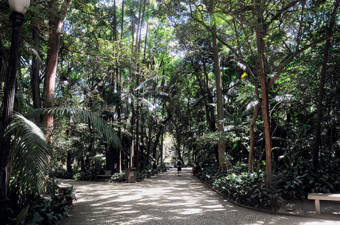 parque-trianon-cida-souza-jpg