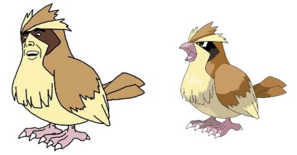 pidgey