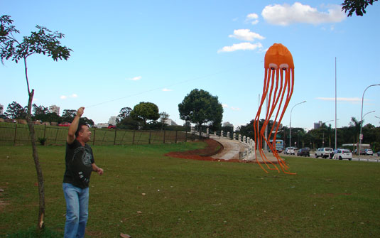 Pipas com segurança no Parque Ecológico do Tietê: para se divertir com segurança, é bom soltar papagaio em lugares como parques e praças